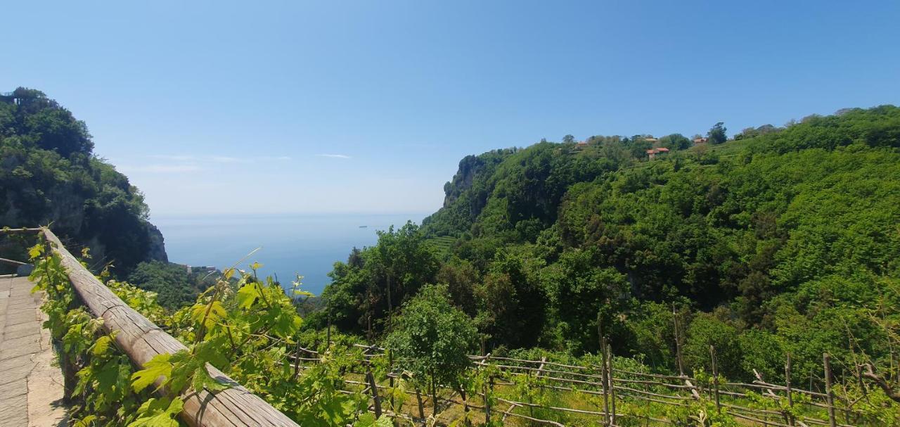 Bed and Breakfast La Cicogna à Agerola Extérieur photo